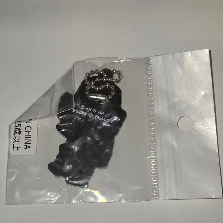 [BUNJANG] My Hero Academia Iida Tenya Keyring / 나히아 이이다 텐야 키링