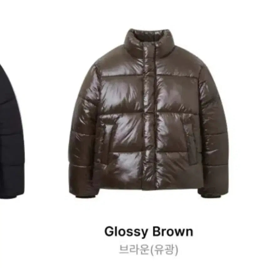 [BUNJANG] Spao Basic Puffer Glossy Brown S / *새상품*스파오 베이직 푸퍼 글로시 브라운 S