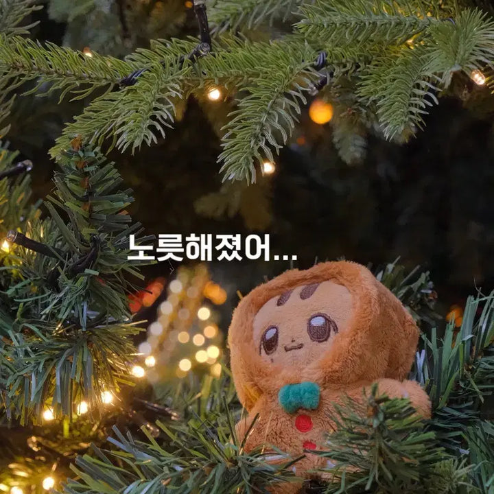 [BUNJANG] Tor Ginger Cookie Man Gingerbread 10cm Doll Clothes / Tor님 진저쿠키맨 진저브레드 10cm 인형옷 새상품
