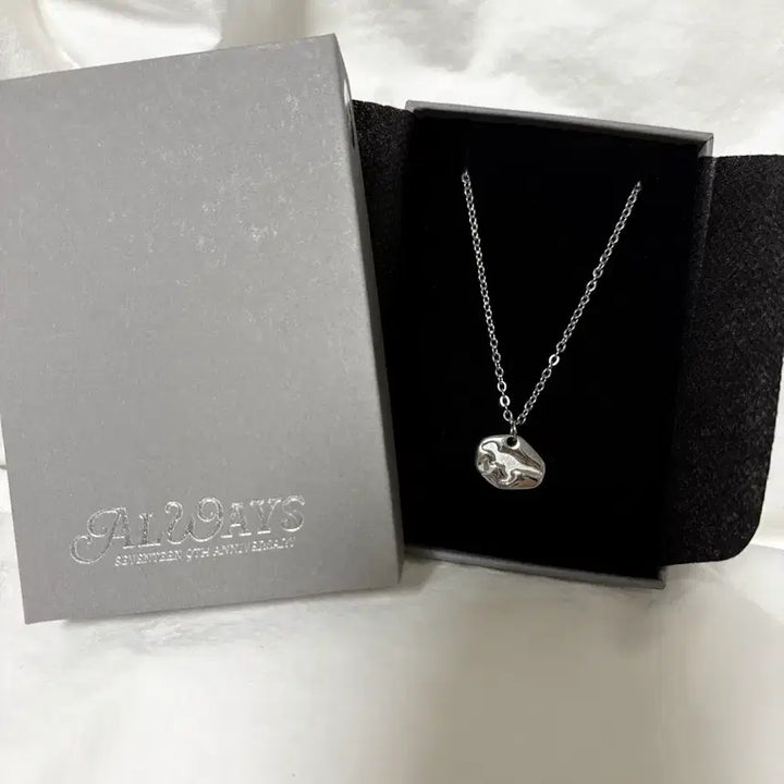 [BUNJANG] Seventeen 9th Anniversary Necklace / 세븐틴 공식 9주년 목걸이