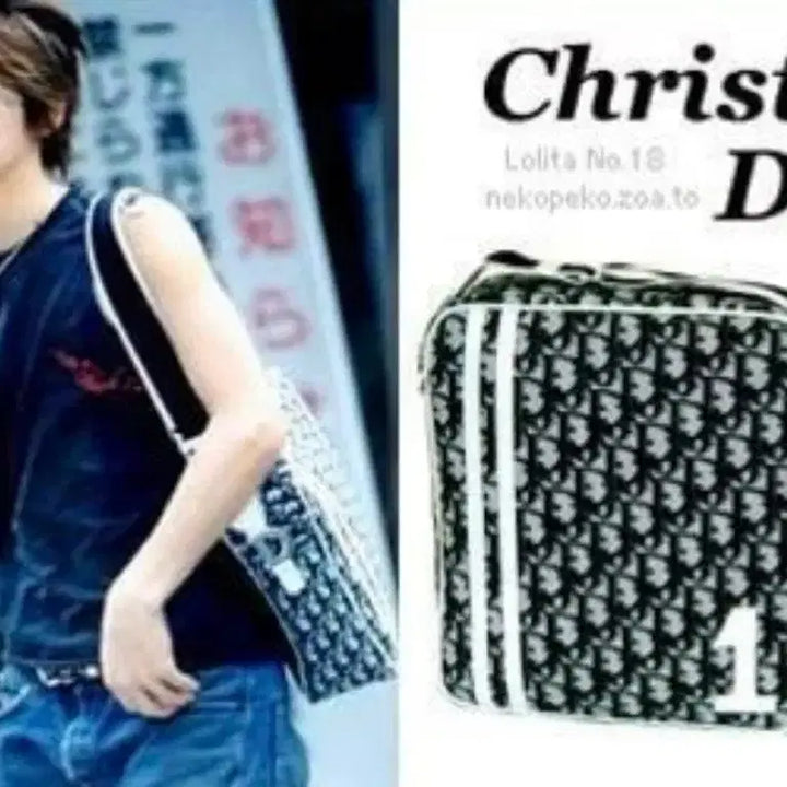 [BUNJANG] Dior Kaze Crossbody Bag / 디올 카메 크로스백