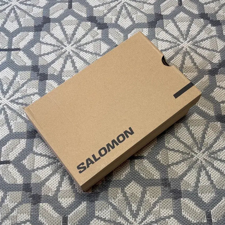 [BUNJANG] Salomon XT-6 GTX Kelp/Lunar Rock/Safari / (260) 살로몬 XT-6 GTX 고어텍스 켈프 렌 사파리