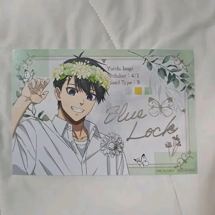 [BUNJANG] Blue Lock Isagi Chigiri Hiori Postcard Bundle / 일괄) 블루록 시도 이사기 치기리 히오리 엽서 카드