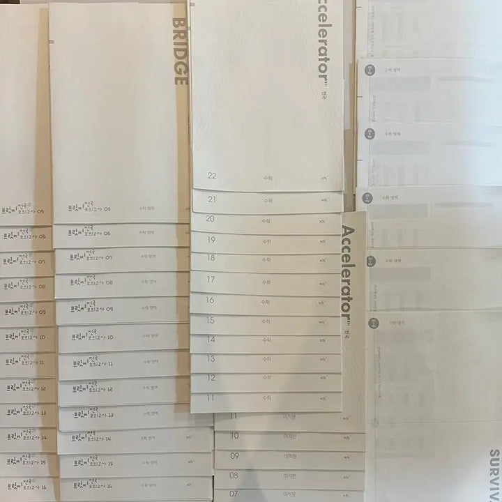 [BUNJANG] Sidae Injae Math Exam Bundle Set / 시대인재 수학 총50회분 서바이벌,브릿지,엑셀