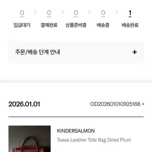 [BUNJANG] Kindersalmon Tessa Leather Tote Bag / 킨더살몬 tessa leather tote bag 백
