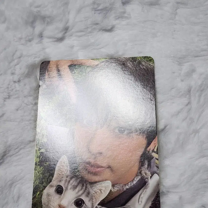 [BUNJANG] NCT WISH Riku Color Jewel Photocard / 엔시티위시 컬러쥬얼 리쿠