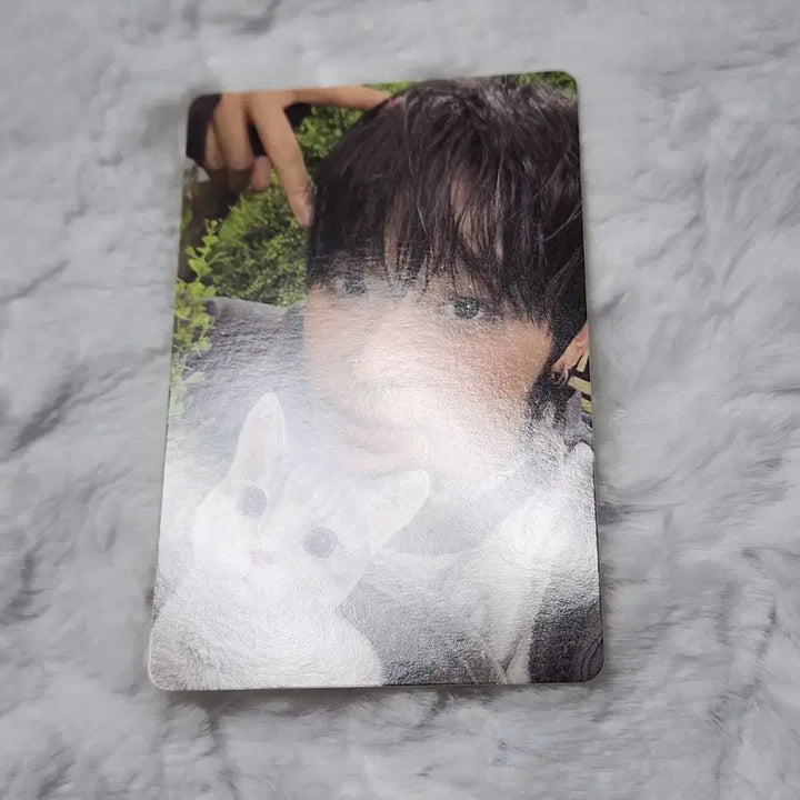 [BUNJANG] NCT WISH Riku Color Jewel Photocard / 엔시티위시 컬러쥬얼 리쿠