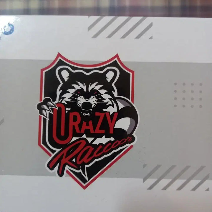 [BUNJANG] Crazy Raccoon Kinako Vol.1 Figure / CR Crazy Raccoon 키나코 피규어 vol.1
