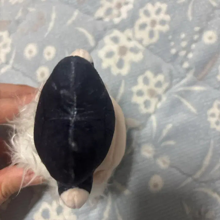 [BUNJANG] Jujutsu Kaisen Gojo Satoru Mini Plush Doll / 고죠사토루 솜인형 판매 미니 솜인형