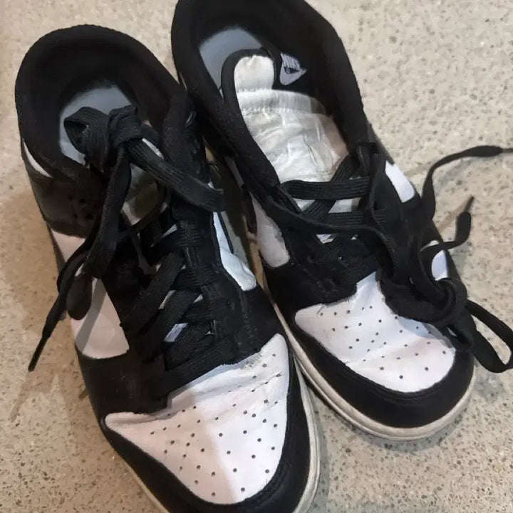 [BUNJANG] Naky Whale 245 / 낭키 범고래 245