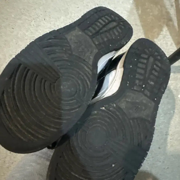 [BUNJANG] Naky Whale 245 / 낭키 범고래 245