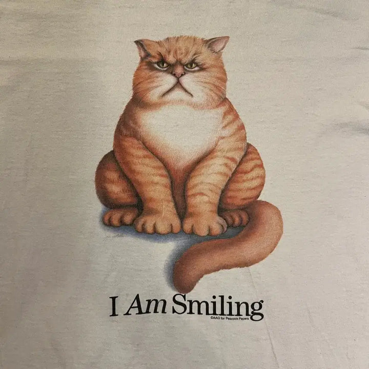 [BUNJANG] Vintage 90s I Am Smiling Cat Graphic T-shirt / 빈티지 90s I Am Smiling 캣 그래픽 티셔츠