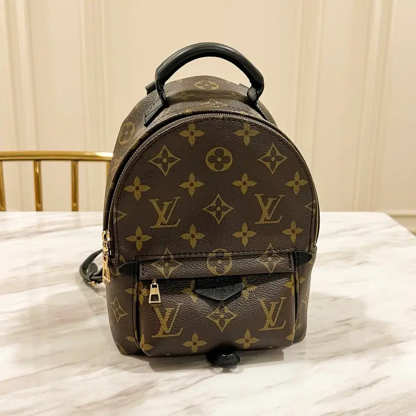[BUNJANG] Louis Vuitton Palm Springs Mini Backpack Monogram / 루이비통 팜 스프링스 백팩 미니 모노그램(최신형,내장칩)