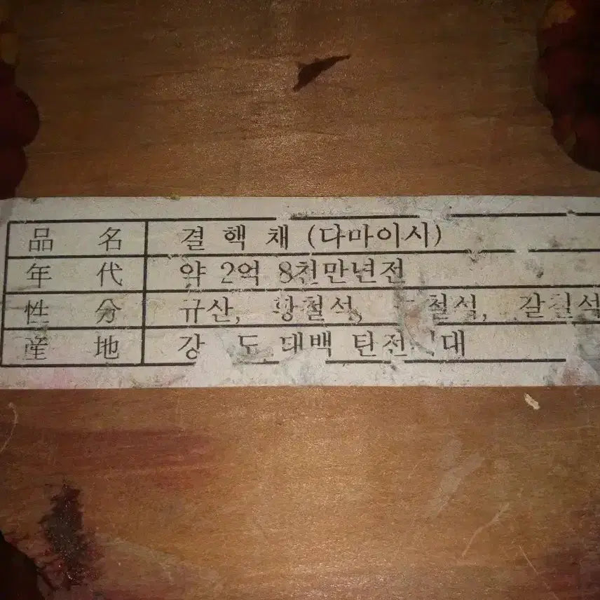 [BUNJANG] Wooden Turtle Sculpture / 나무 조각 거북이  수석