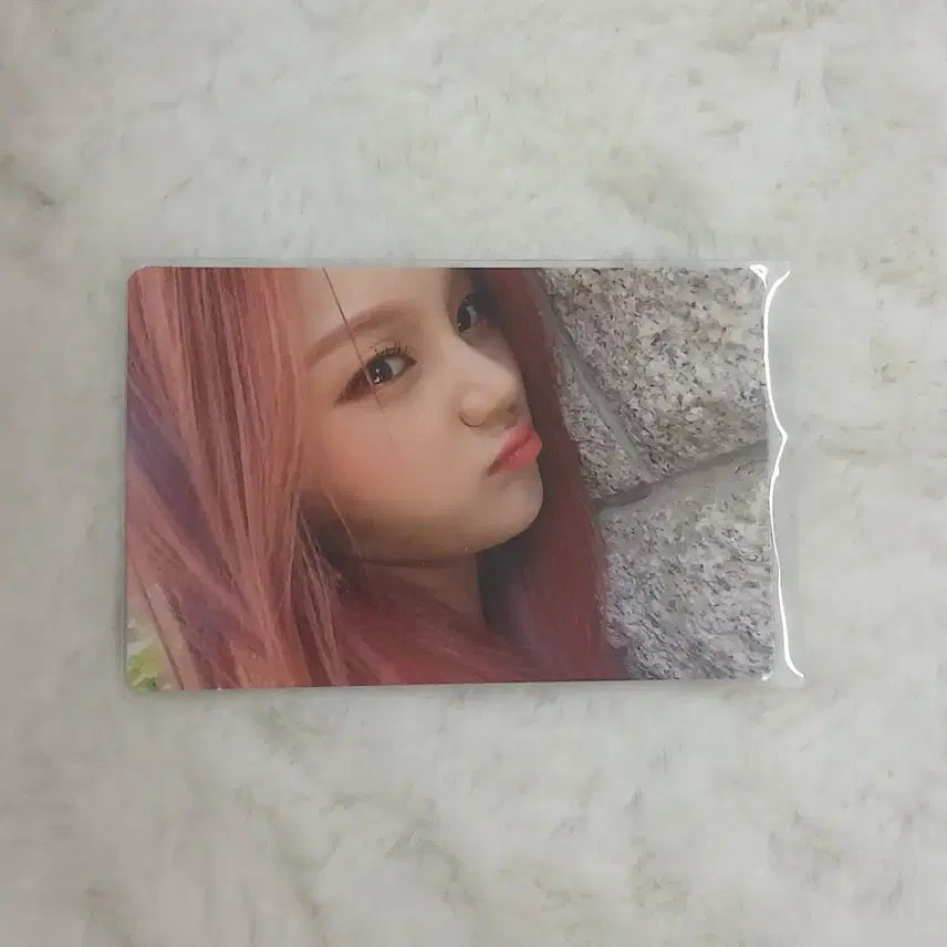 비비지 엄지 viviz 포카 [반택]