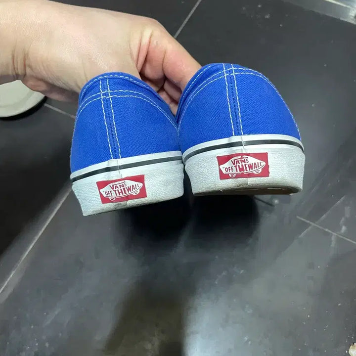 [BUNJANG] Authentic Blue 285 / 반스 어센틱 블루 285