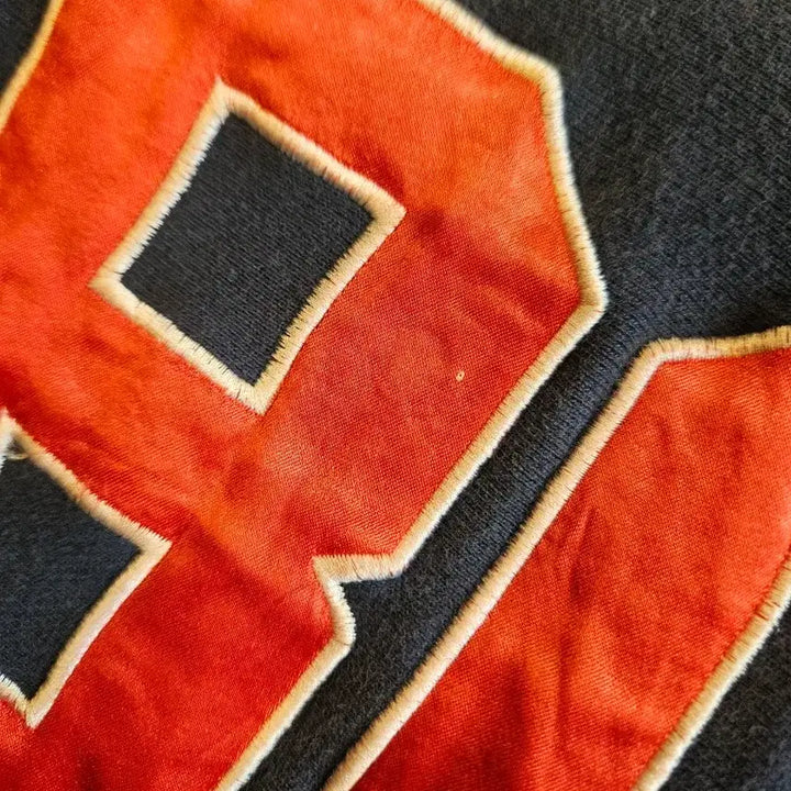 [BUNJANG] Stüssy Lion Embroidered Hoodie / 빈티지 스투시 라이온 자수 후드