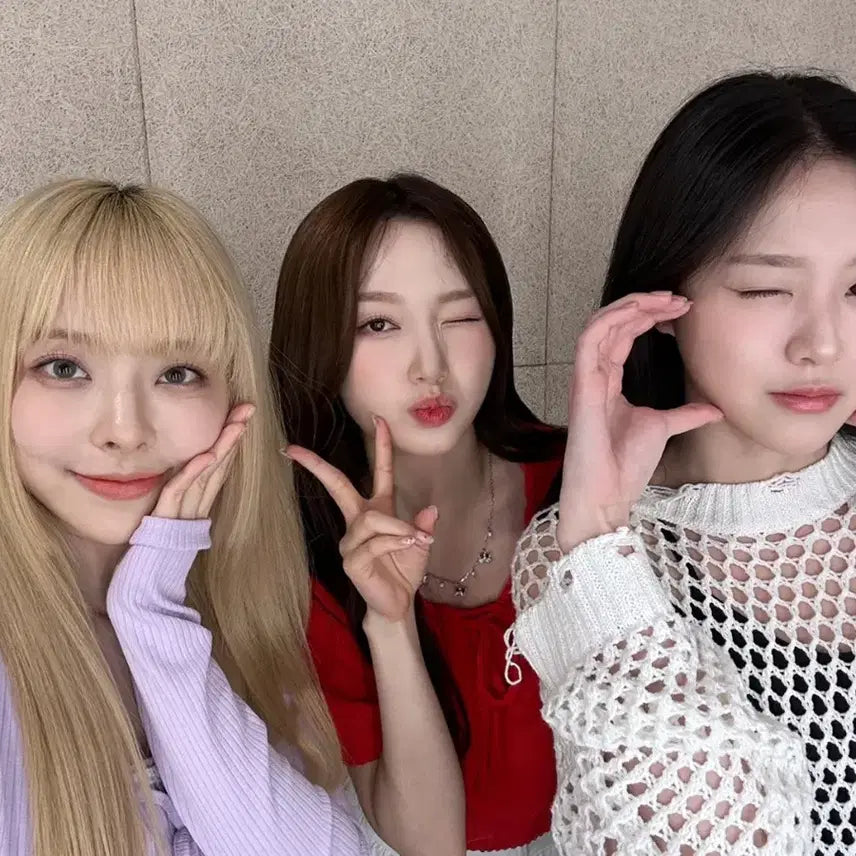 240510 고원 싸인폴라