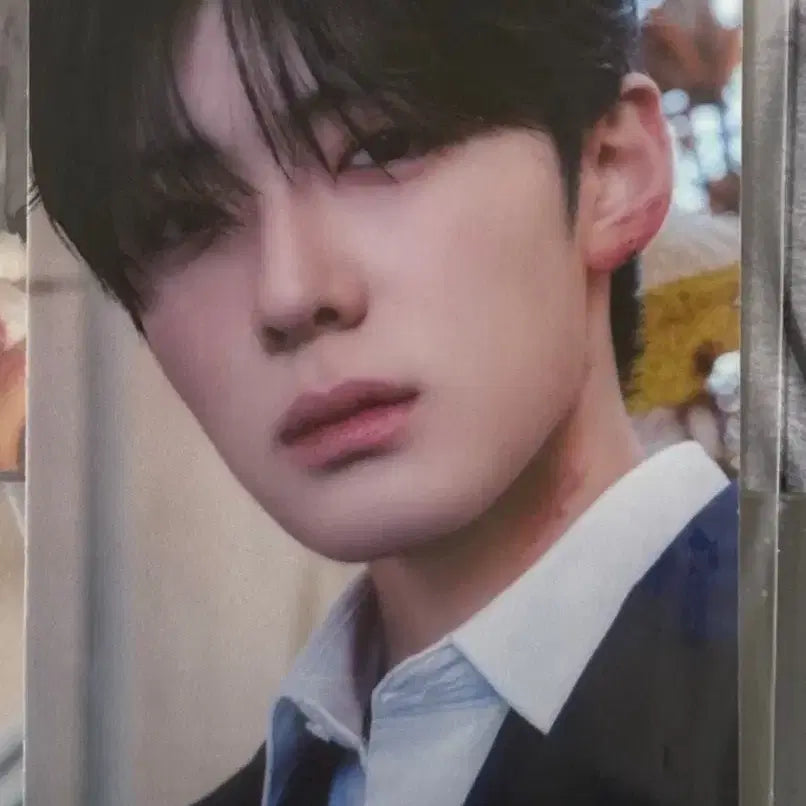 [BUNJANG] Jeong Sang Hyun Card Sticker / 정상현 카드스티커