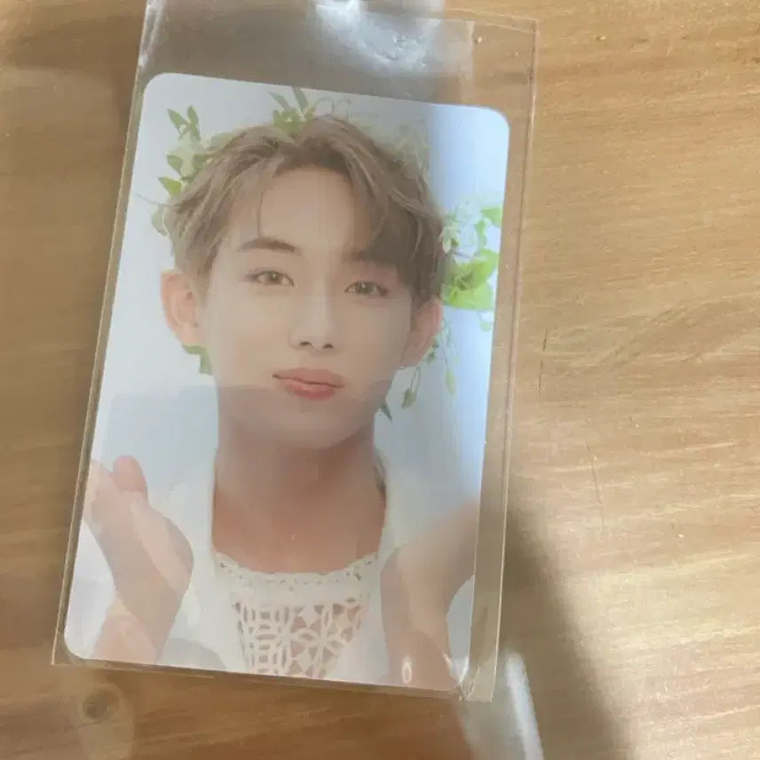 Wayv 포토카드 일괄