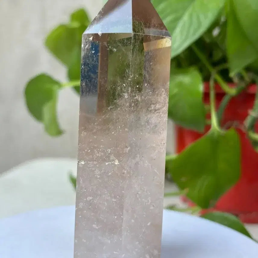 [BUNJANG] Clear Quartz Point 255g / 차수정 포인트 255g 11.5cm