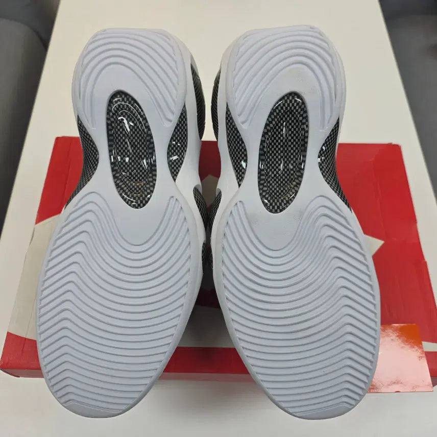 [BUNJANG] Nike Zoom Flight 95 Sneakers / [290미착용] 나코탭 줌플라이트95