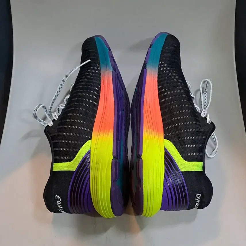 [BUNJANG] Asics Dynaflyte 3 SP 265mm / 아식스 다이나플라이트 3 SP 265mm