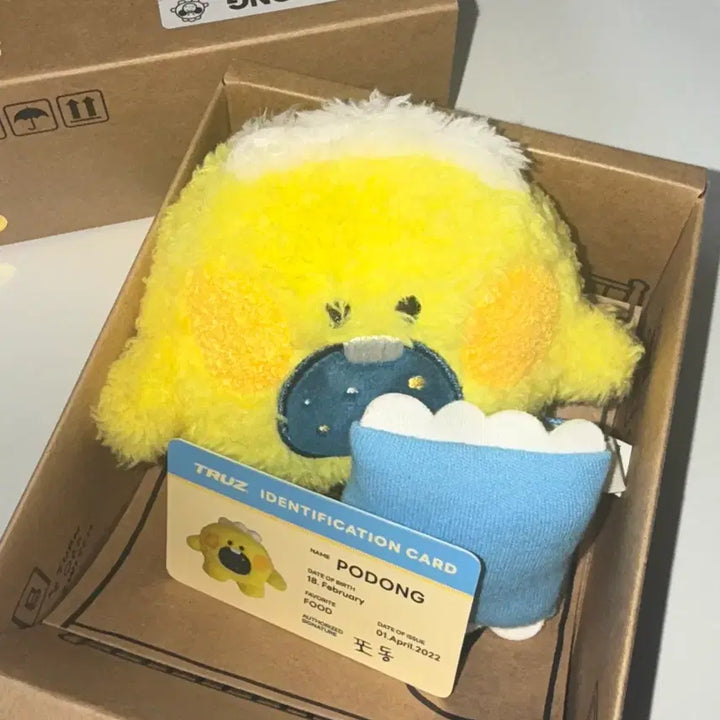 트루즈 미니니 미니 포동이 양도해요 소정환 정환 트레저