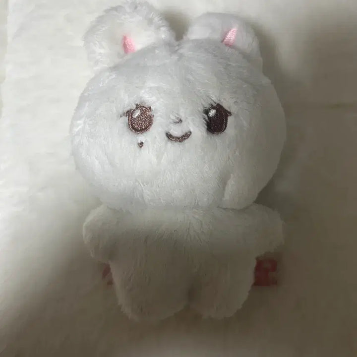 [BUNJANG] Seventeen Jeonghan Doll / 세븐틴 윤정한 인형 팔아요
