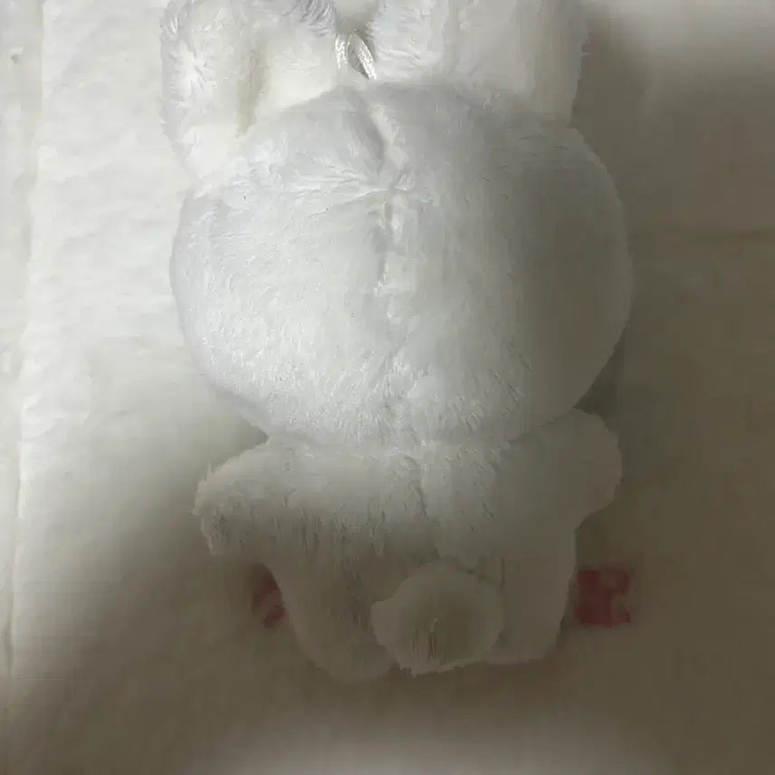 [BUNJANG] Seventeen Jeonghan Doll / 세븐틴 윤정한 인형 팔아요