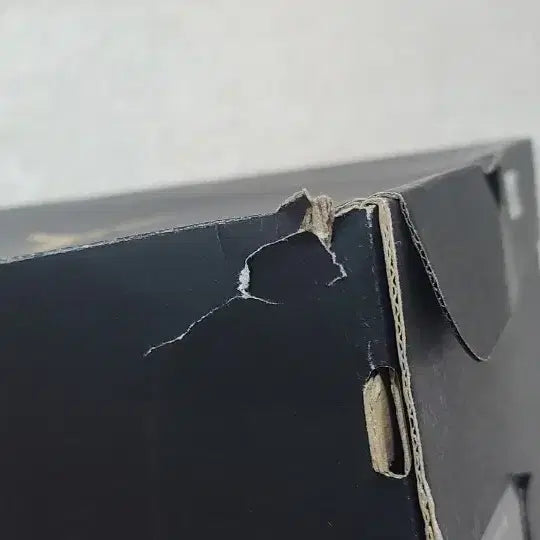 [BUNJANG] Nike Jordan 1 Mid Hornets (Size 275) / [신품, 나이키] 조던1, 미드 호넷츠, 275, 정품 새제품