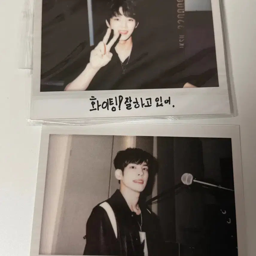 데이식스 선라이즈 앨범 도운 원필 폴라로이드