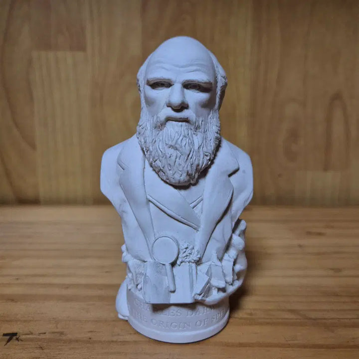 [BUNJANG] Charles Darwin Small Plaster Statue / 찰스다윈 소형 석고상