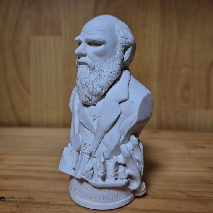 [BUNJANG] Charles Darwin Small Plaster Statue / 찰스다윈 소형 석고상