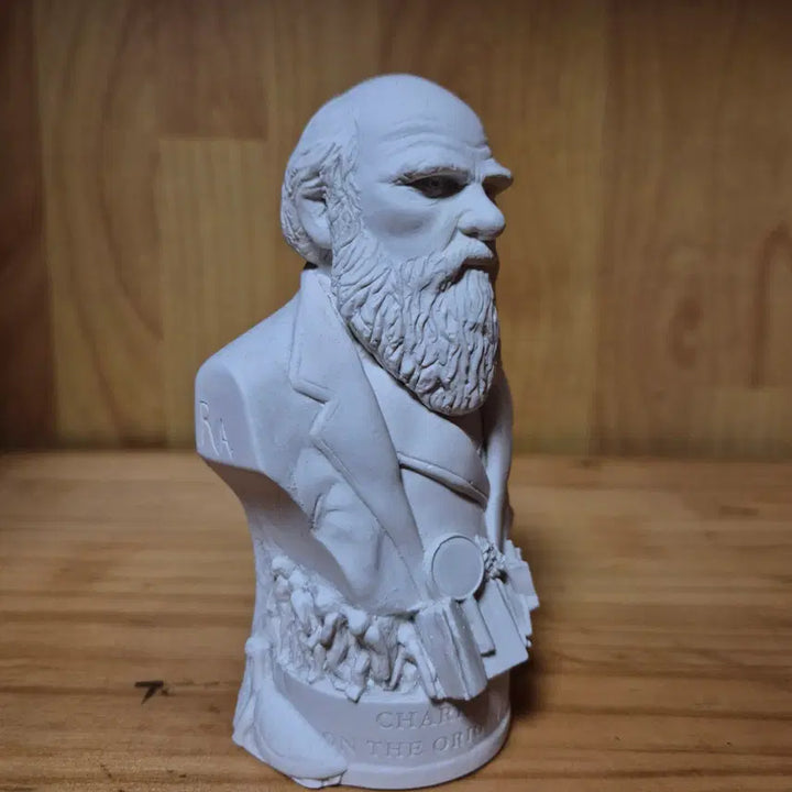 [BUNJANG] Charles Darwin Small Plaster Statue / 찰스다윈 소형 석고상