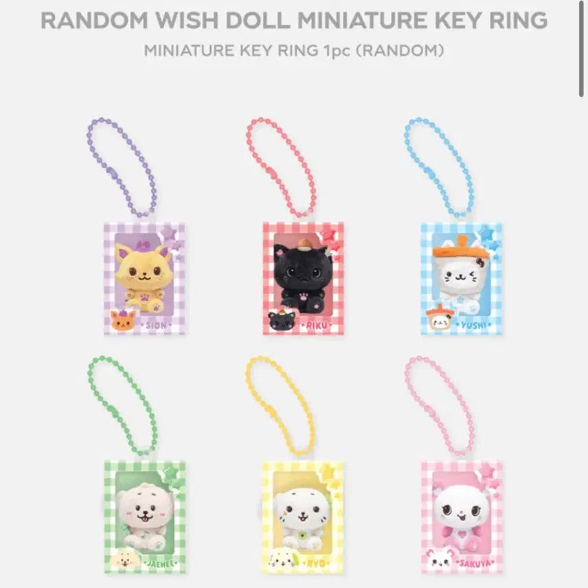 [BUNJANG] Riize Sion Miniature Keyring / 위시 미니어처 키링 시온