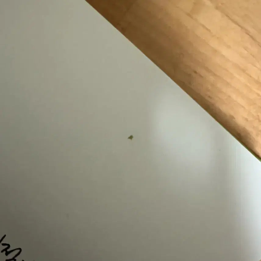 [BUNJANG] Novel 보건교사 안은영 / 정세랑 장편소설 보건교사 안은영 중고책 판매합니다.