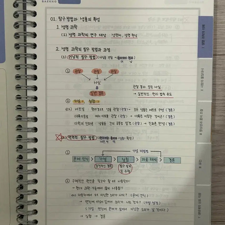 [BUNJANG] Baekho Concept Note / 메가스터디 백호 생명 섬개완 개념노트