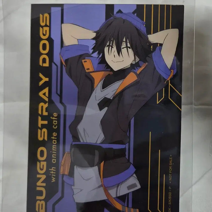 [BUNJANG] Bungo Stray Dogs Ranpo Edogawa Bundle Set / 문호스트레이독스 에도가와 란포 브로마이드 + 캔뱃지 (일괄)