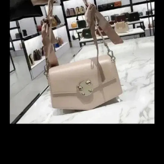 [BUNJANG] Charles & Keith Handbag / 찰스앤키스핸드백