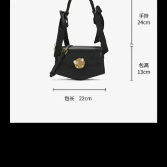 [BUNJANG] Charles & Keith Handbag / 찰스앤키스핸드백