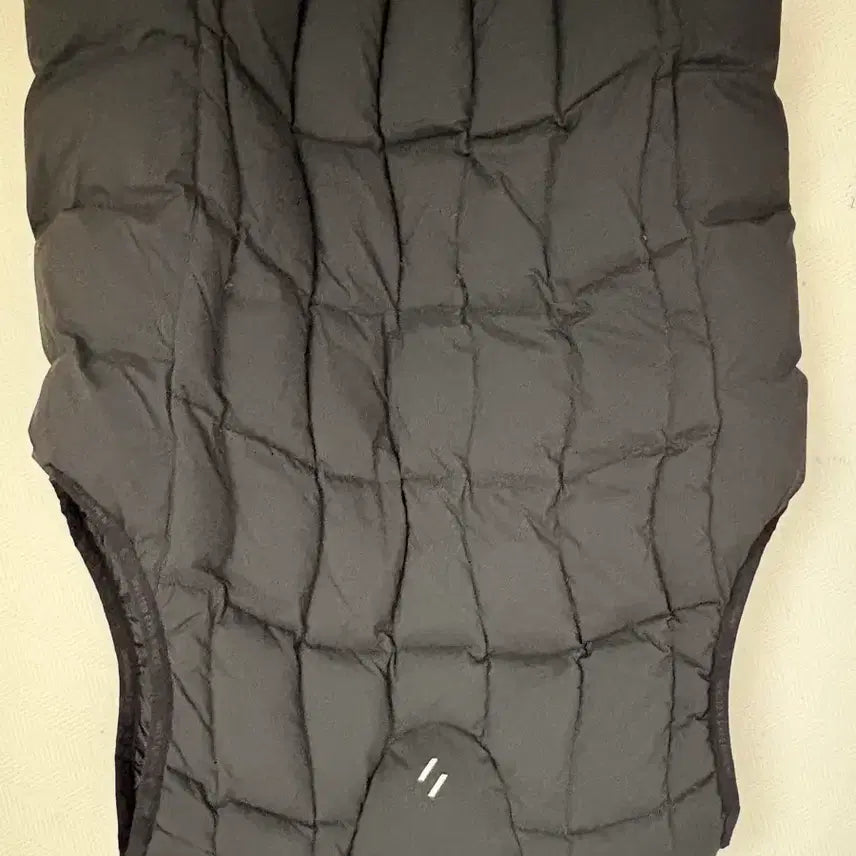 [BUNJANG] WELTER Experiment Padded Vest / 웰터익스페리먼트 패딩 조끼 2