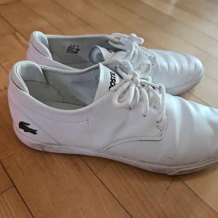 [BUNJANG] Lacoste White Sneakers / 라코스테 흰색 스니커즈 운동화280