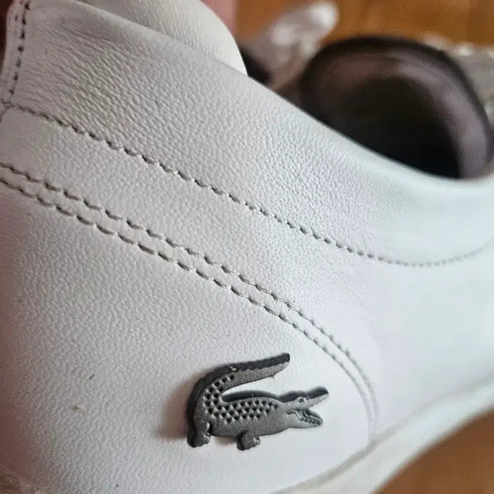 [BUNJANG] Lacoste White Sneakers / 라코스테 흰색 스니커즈 운동화280