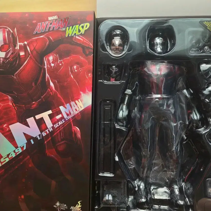 [BUNJANG] Hot Toys Ant-Man and The Wasp 1/6 Scale Figure / 앤트맨과 와스프 1/6 피규어 MMS497 핫토이