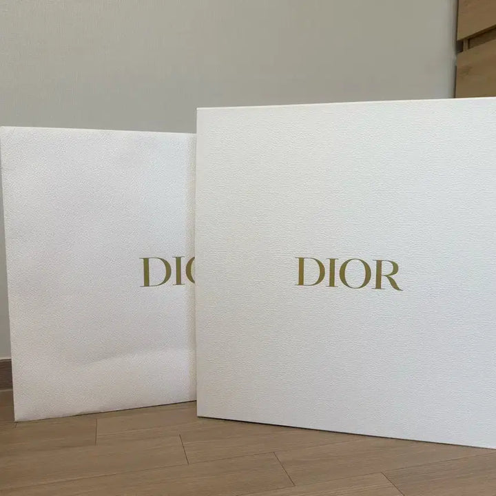 [BUNJANG] Dior Book Tote Bag Large Flane Paris / (정품) 디올 북토트백 라지 플랑드 파리 플랜드 파리