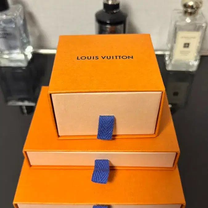 [BUNJANG] Louis Vuitton Neo LV Club Keyring M80237 / (정품) 루이비통 네오 LV 클럽 키링 M80237