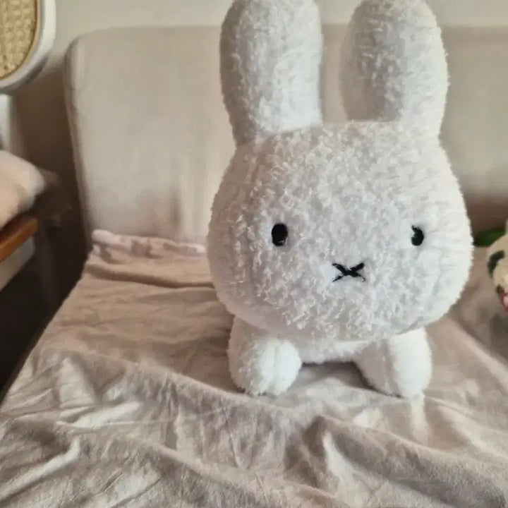 [BUNJANG] Miffy Dick Bruna Rabbit Doll / 미피 딕 브루너 토끼 인형 화이트