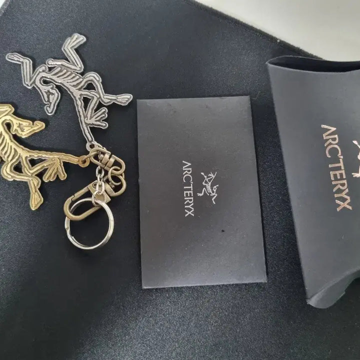 [BUNJANG] Arc'teryx Keyring Bundle Set / 아크테릭스 키링