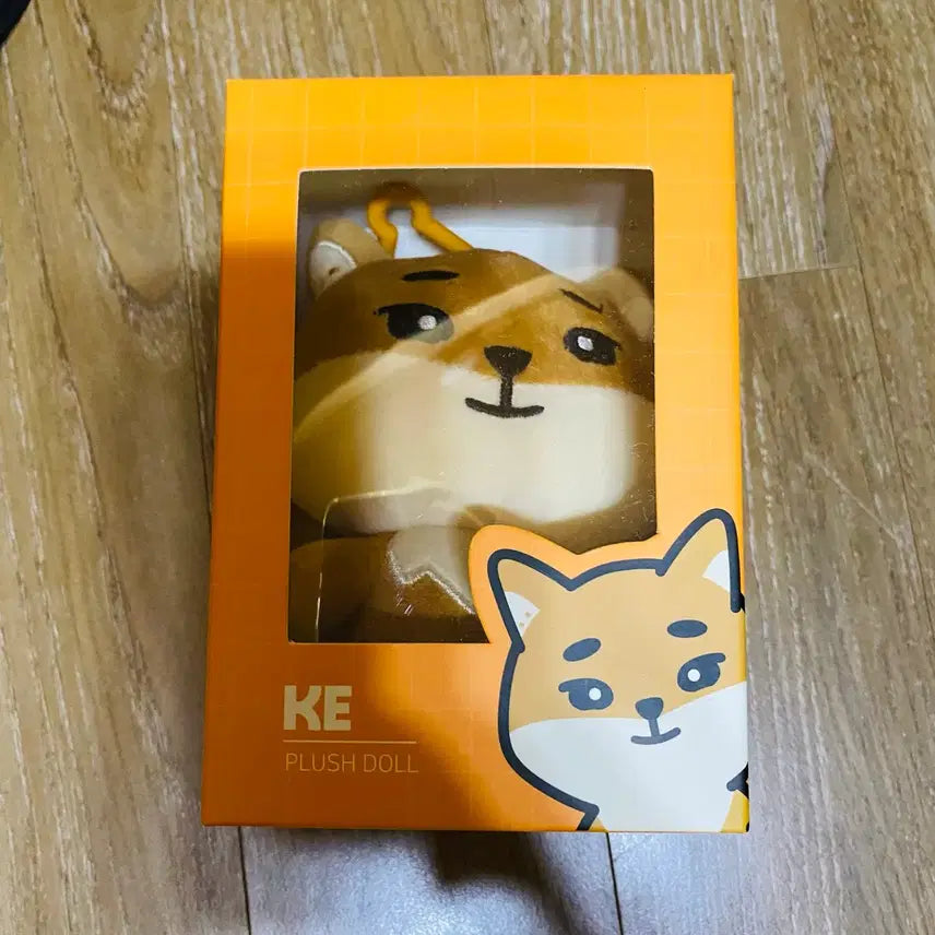 [BUNJANG] Day6 Bundle Set Merch / 데이식스 굿즈 일괄로 처분해요ㅠㅠ 빠른 처분 희망합니다ㅠㅠ